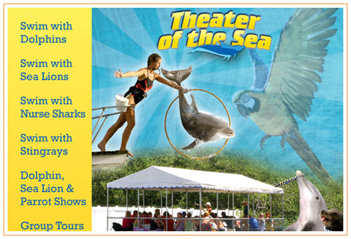 Theater of the Sea