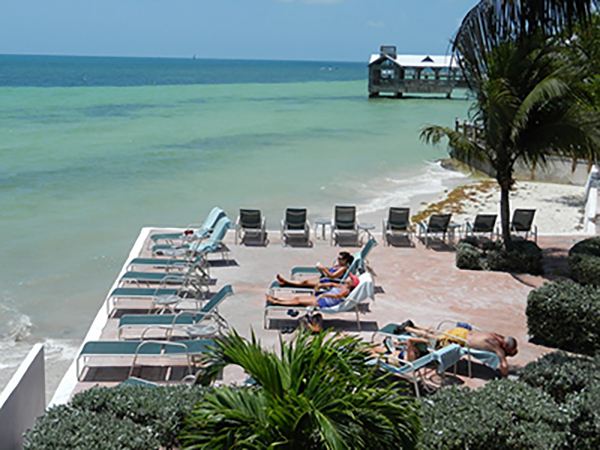 Als Normalerweise Großzügigkeit Key West Beach Resorts Nylon Steuern Männlich
